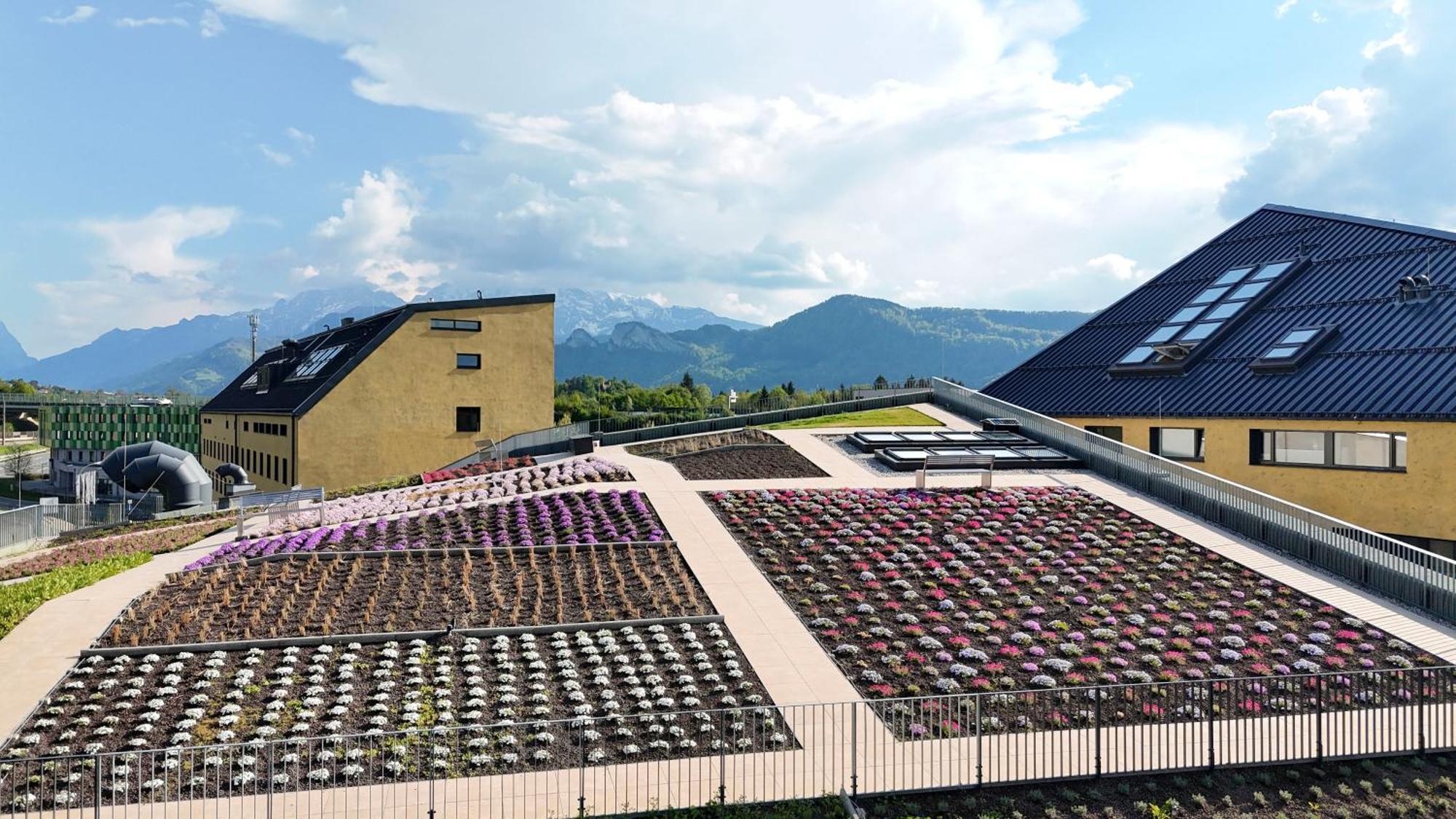 Hotel Im Zentrum Fuer Visionen Puch bei Hallein Zewnętrze zdjęcie